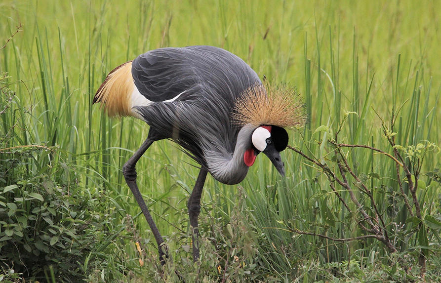 Members are Saving up to 50%